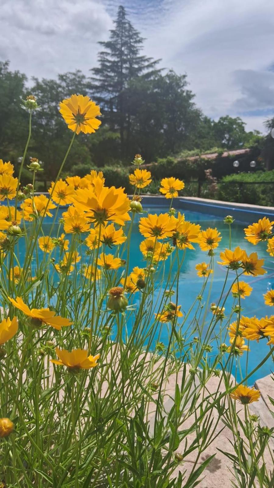 Hosteria Pastoral & Spa Ла-Кумбре Экстерьер фото